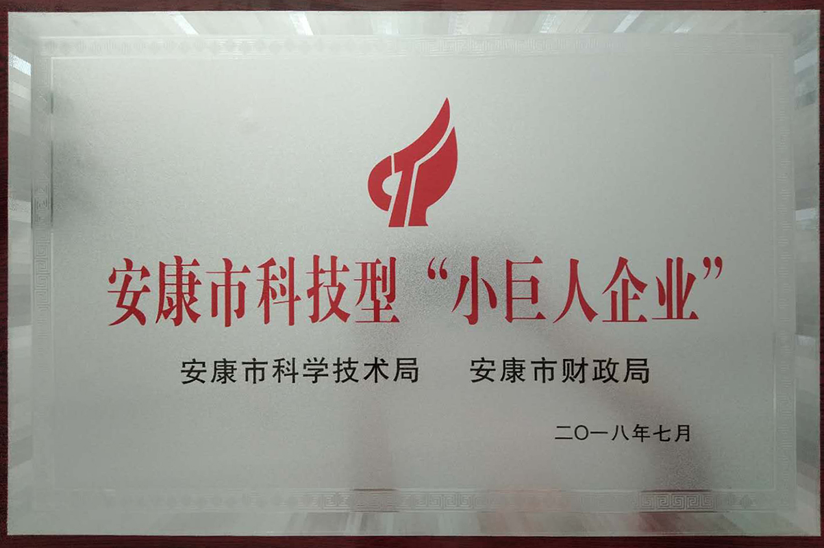 安康小巨人企业